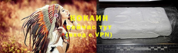 мяу мяу мука Бородино