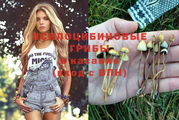 мескалин Богородицк