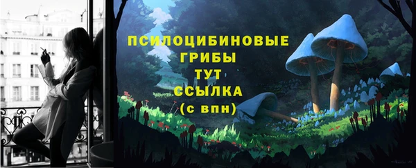 мяу мяу мука Бородино